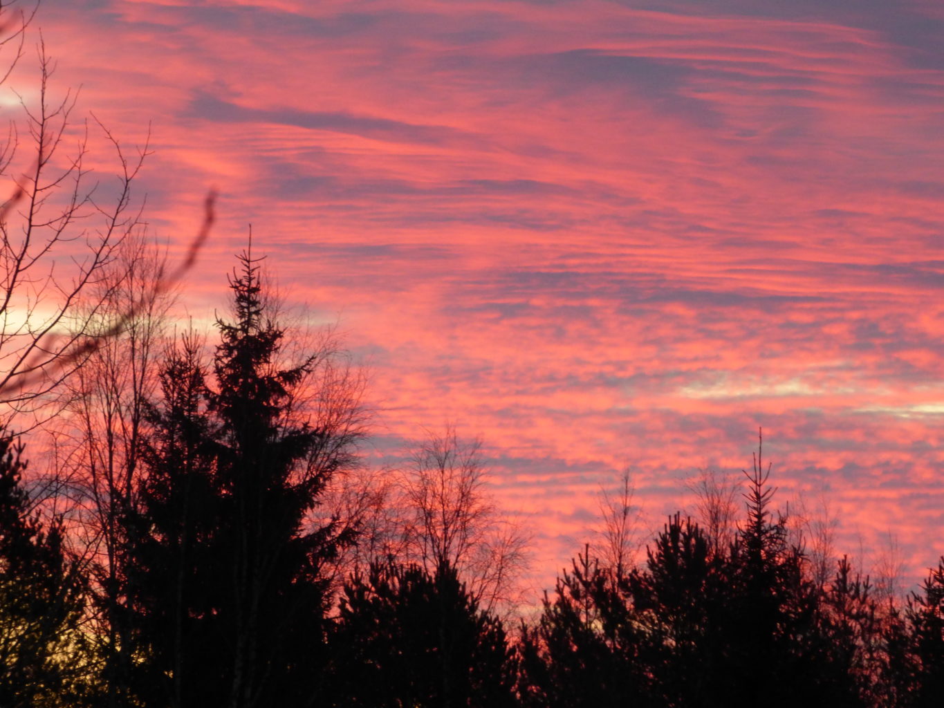 Valokuvaaja: Hannu Rissanen