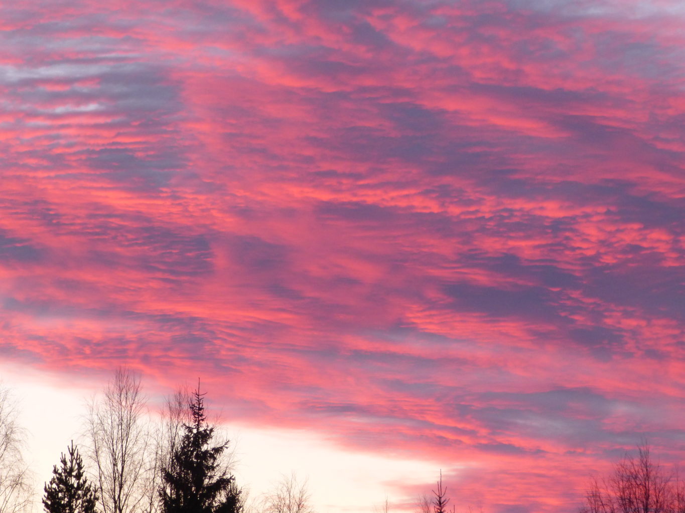 Valokuvaaja: Hannu Rissanen