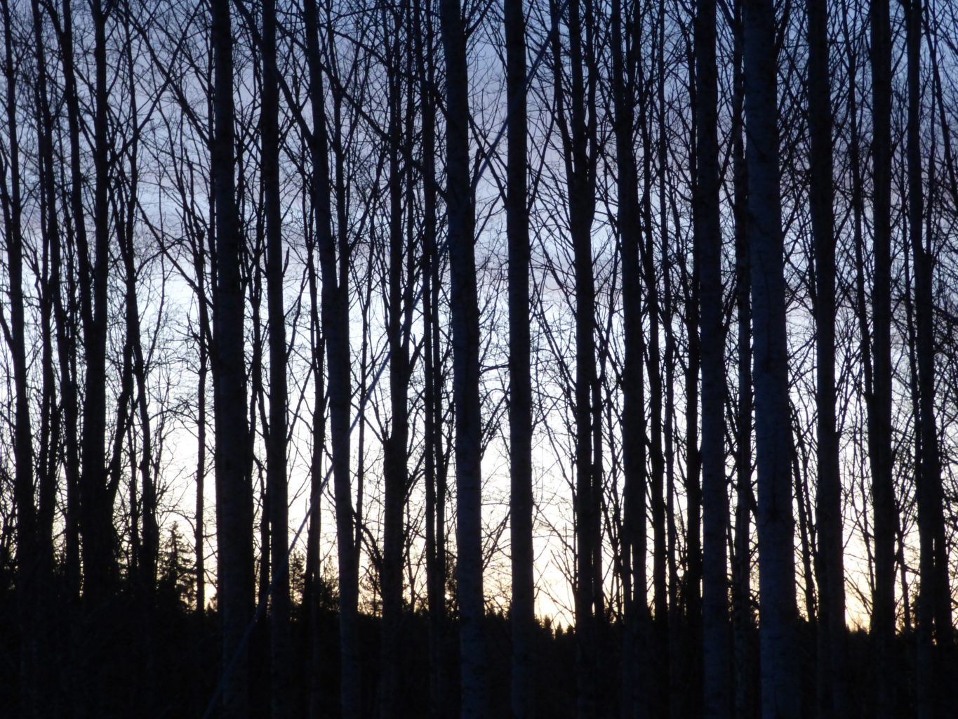 Valokuvaaja: Hannu Rissanen