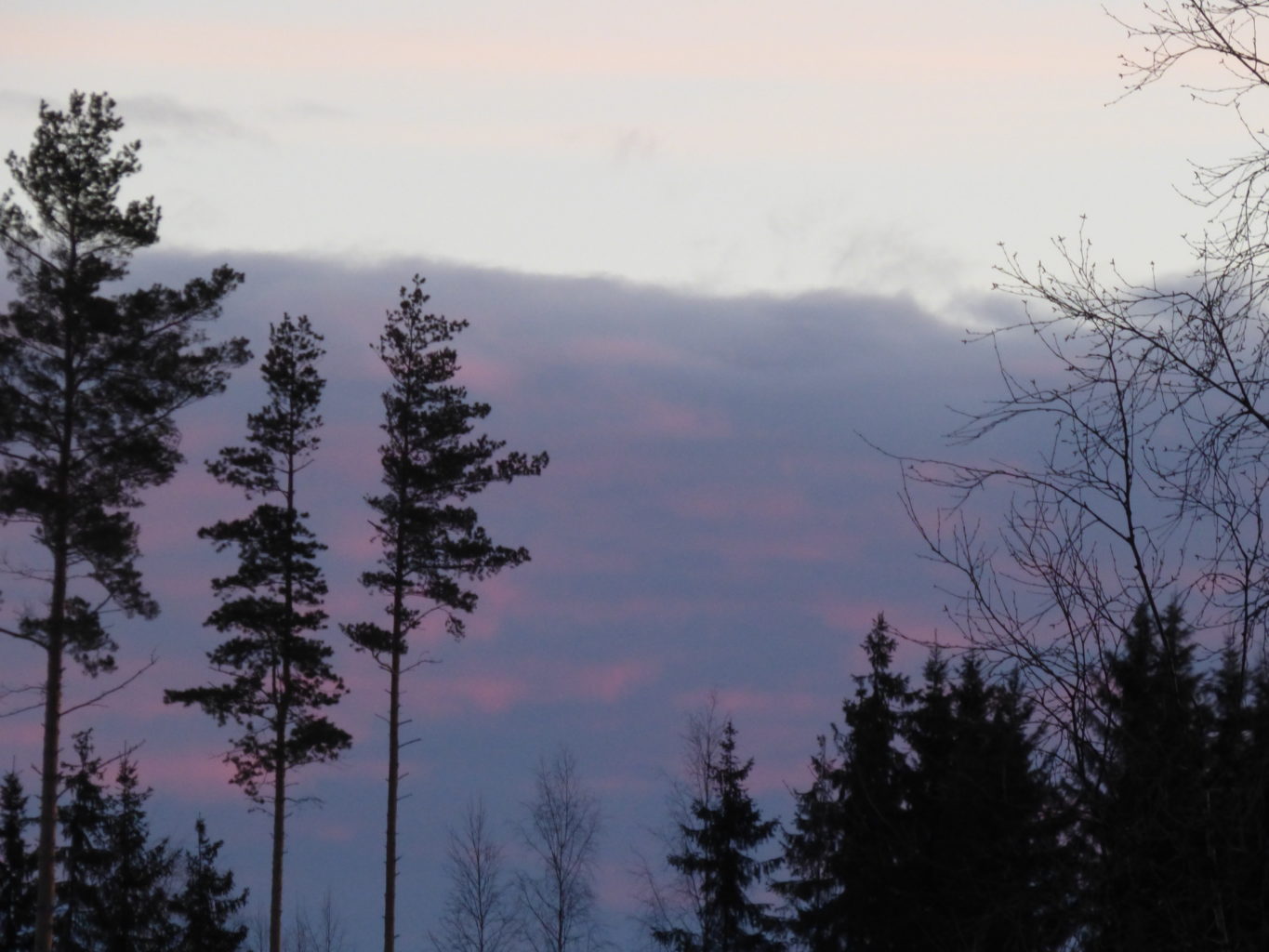 Valokuvaaja: Hannu Rissanen Valokuvaaja: Hannu Rissanen