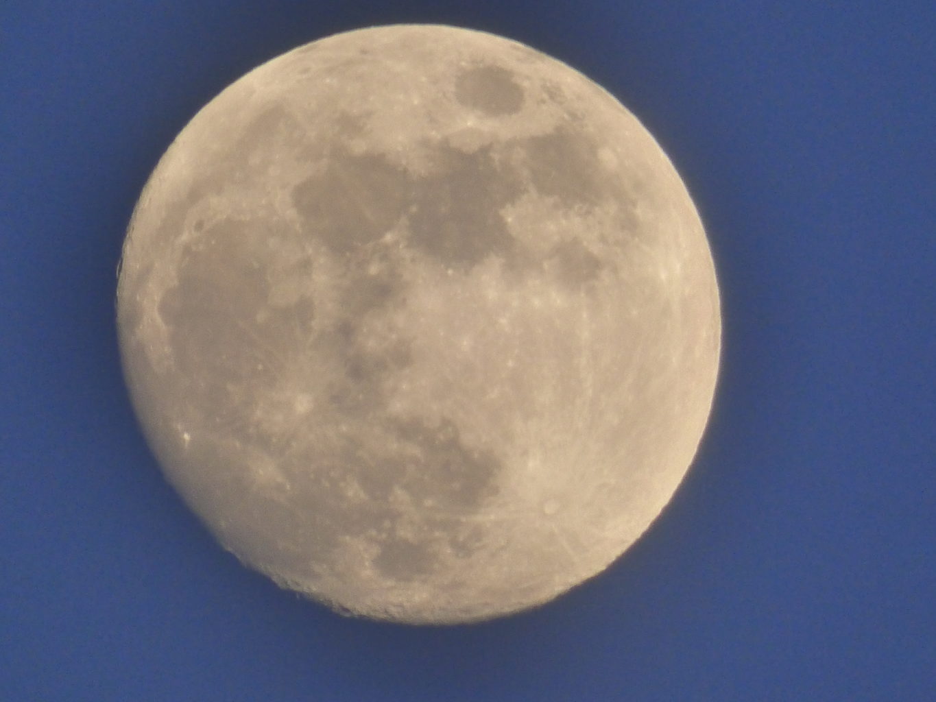 Valokuvaaja: Hannu Rissanen