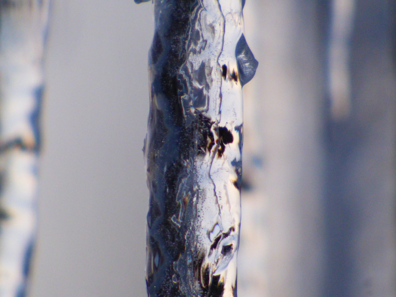 Valokuvaaja: Hannu Rissanen Valokuvaaja: Hannu Rissanen