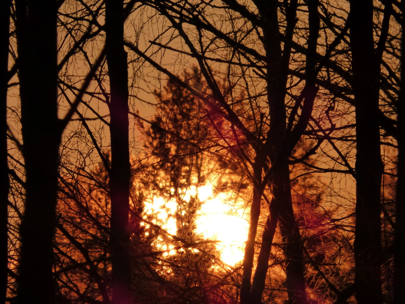 Valokuvaaja: Hannu Rissanen