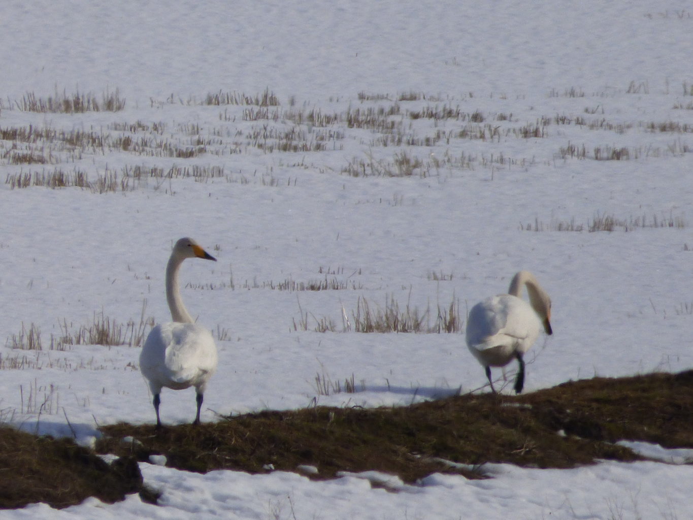 Valokuvaaja: Hannu Rissanen