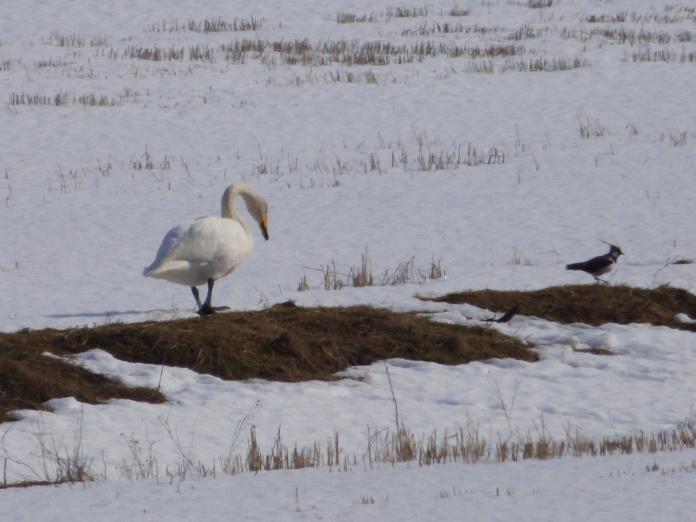 Valokuvaaja: Hannu Rissanen Valokuvaaja: Hannu Rissanen