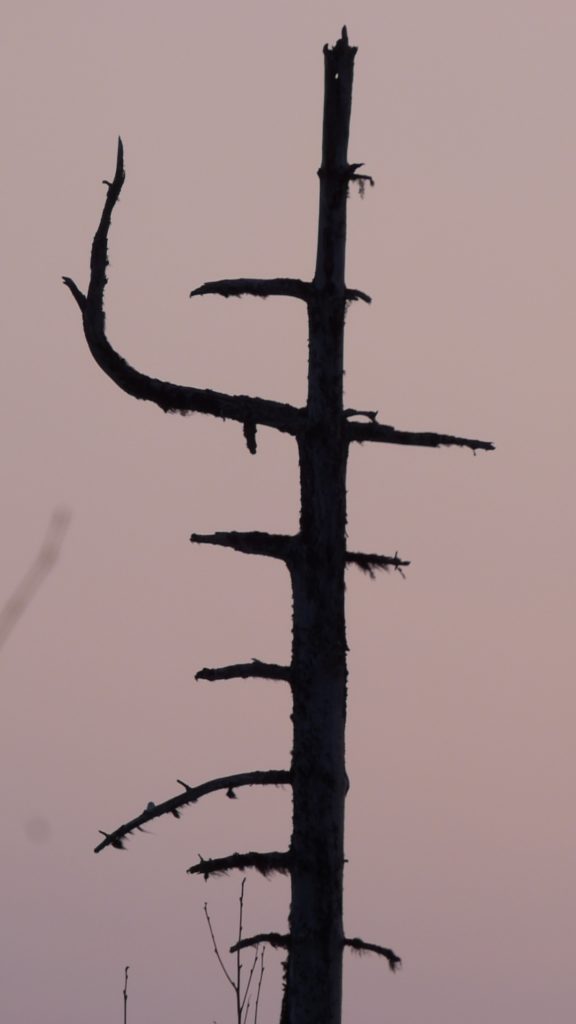 Valokuvaaja: Hannu Rissanen