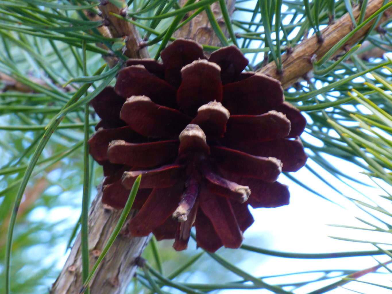 Valokuvaaja: Hannu Rissanen