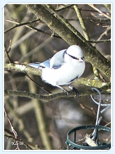 Valokuvaaja: Katri Lehtonen