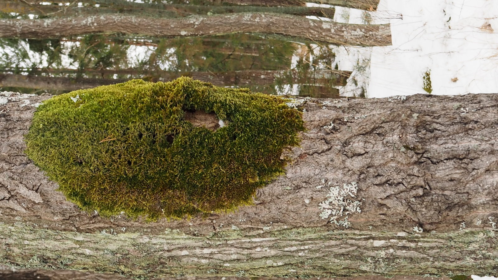 Valokuvaaja: Kirsi Grönholm Valokuvaaja: Kirsi Grönholm