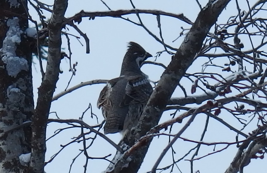 Valokuvaaja: Riitta Valkeapää Valokuvaaja: Riitta Valkeapää