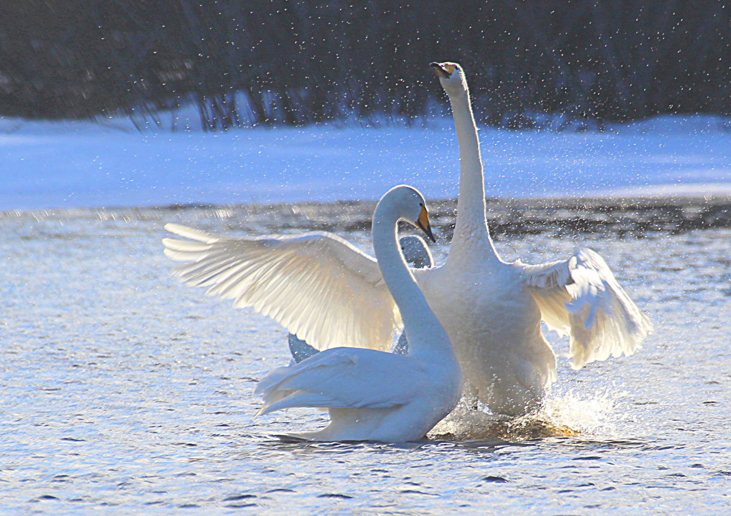 Valokuvaaja: Sirpa Jyske Valokuvaaja: Sirpa Jyske