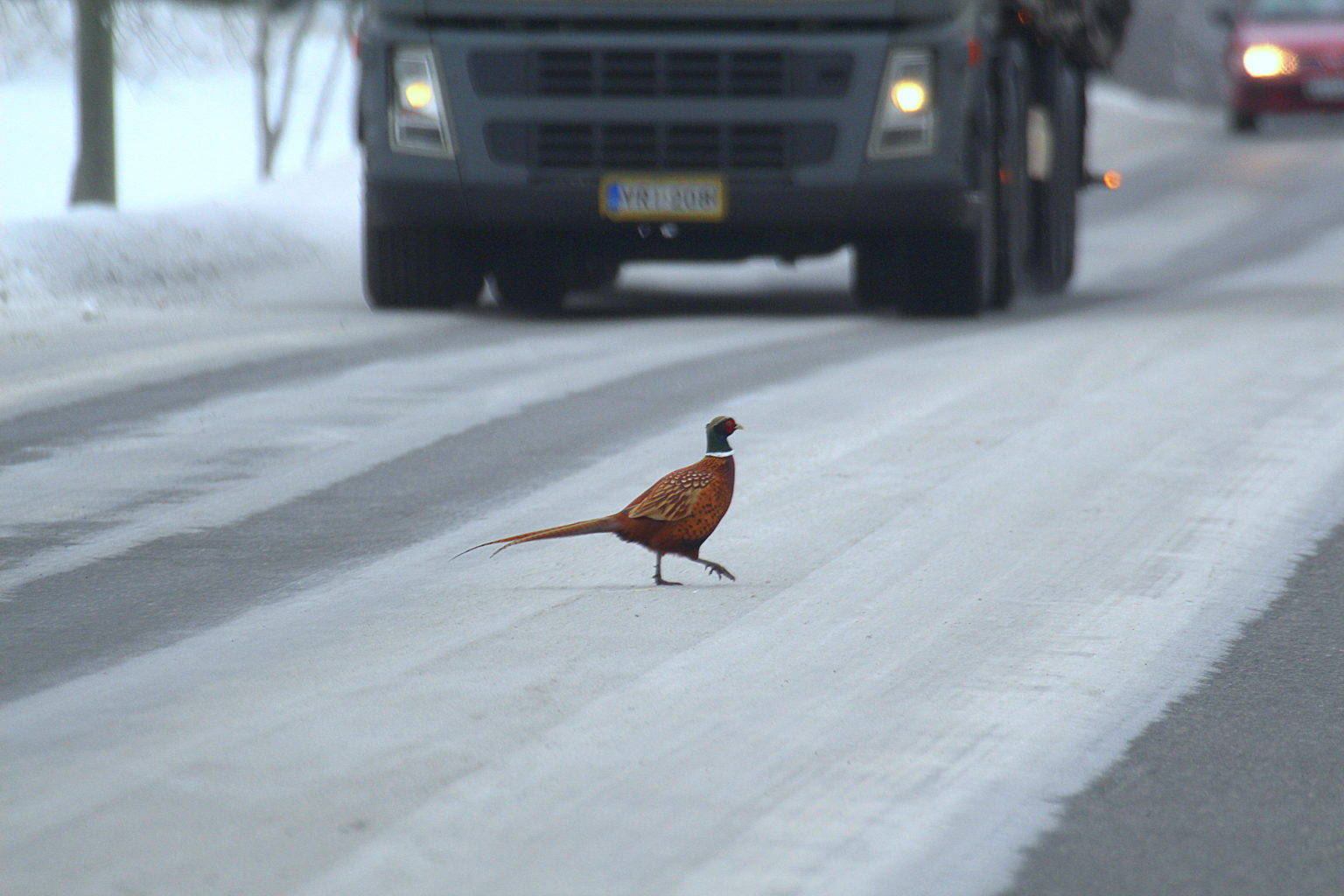 Valokuvaaja: Sirpa jyske
