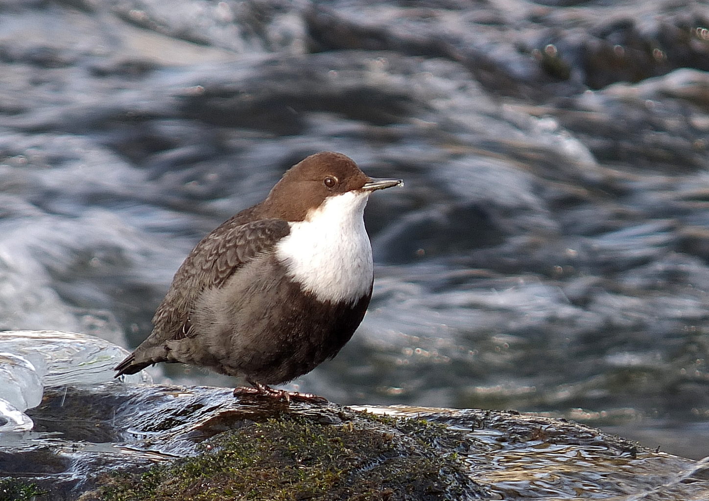 Valokuvaaja: Hannu Rasiranta