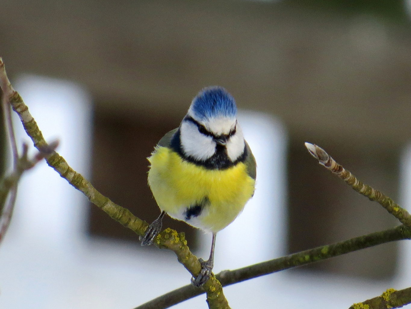 Valokuvaaja: Jaana Talvinen