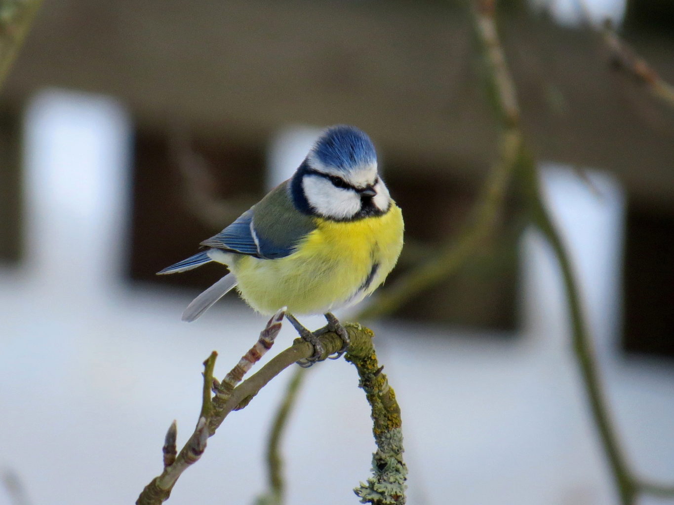 Valokuvaaja: Jaana Talvinen