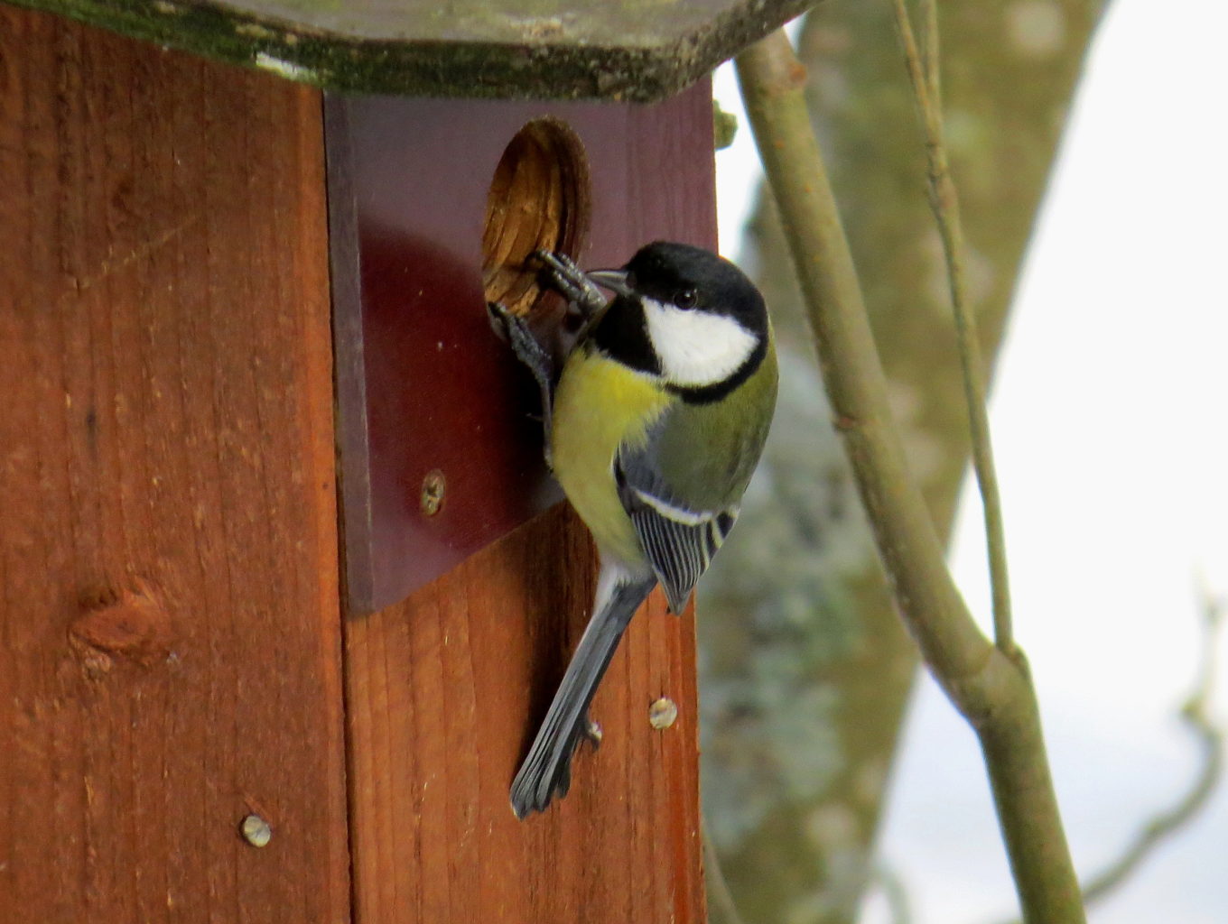 Valokuvaaja: Jaana Talvinen