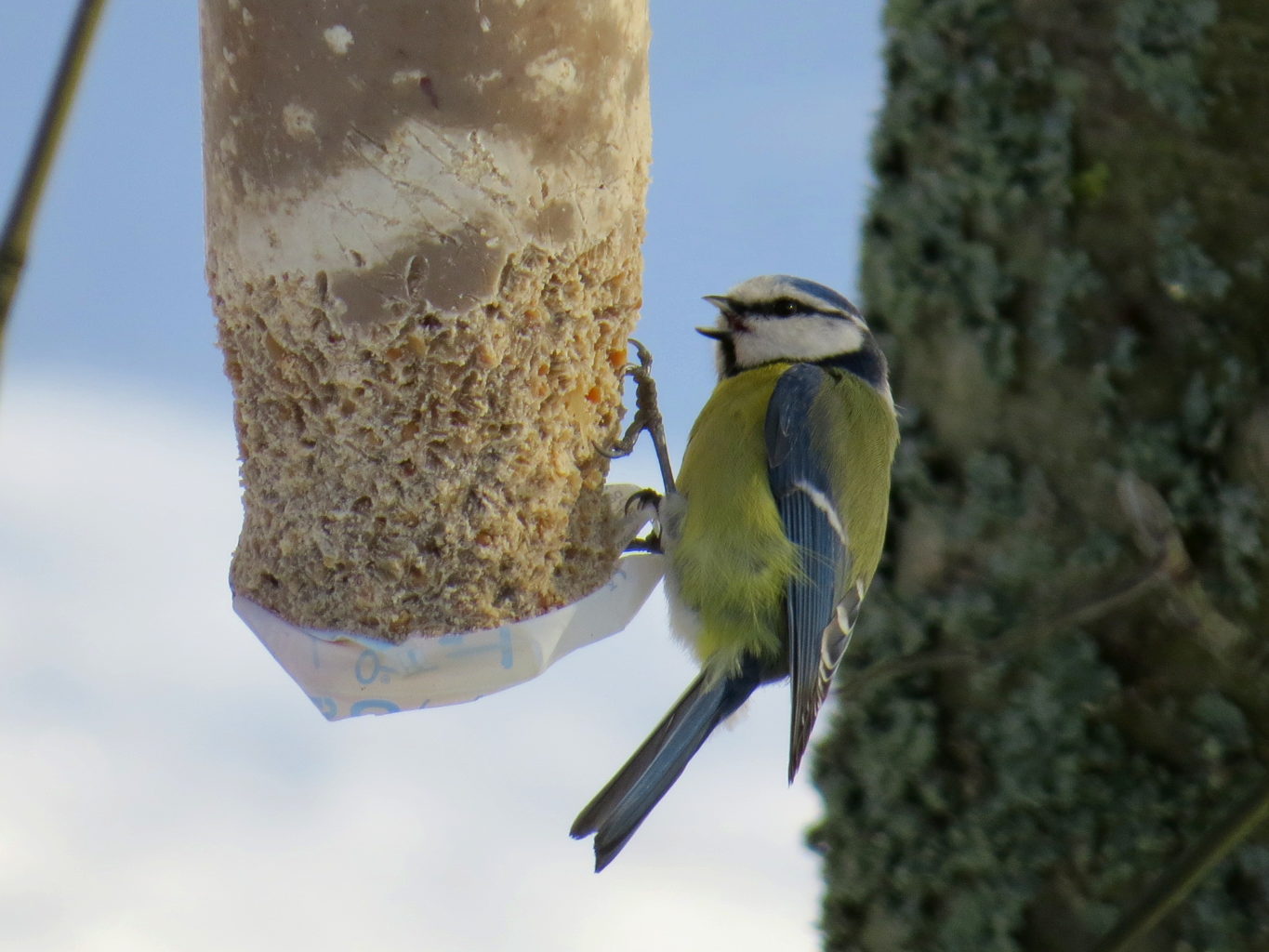 Valokuvaaja: Jaana Talvinen