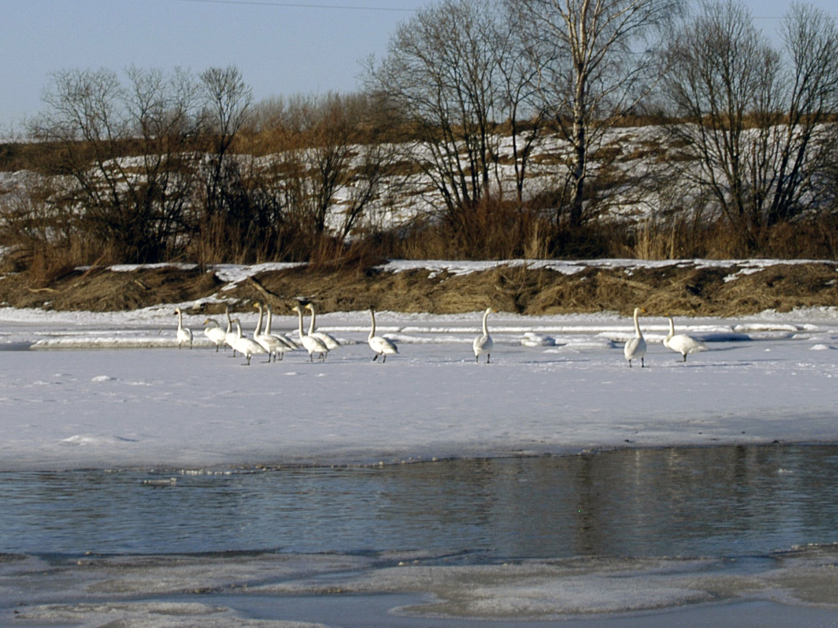 Valokuvaaja: Matti Hilli