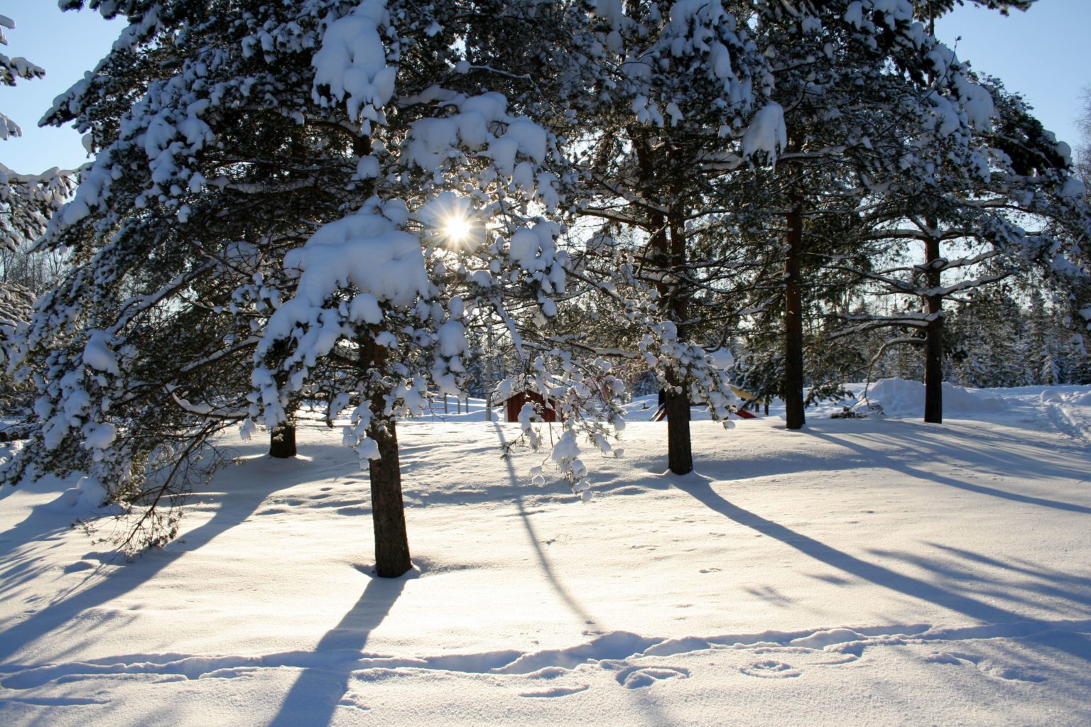 Valokuvaaja: Pirkko Siukonen