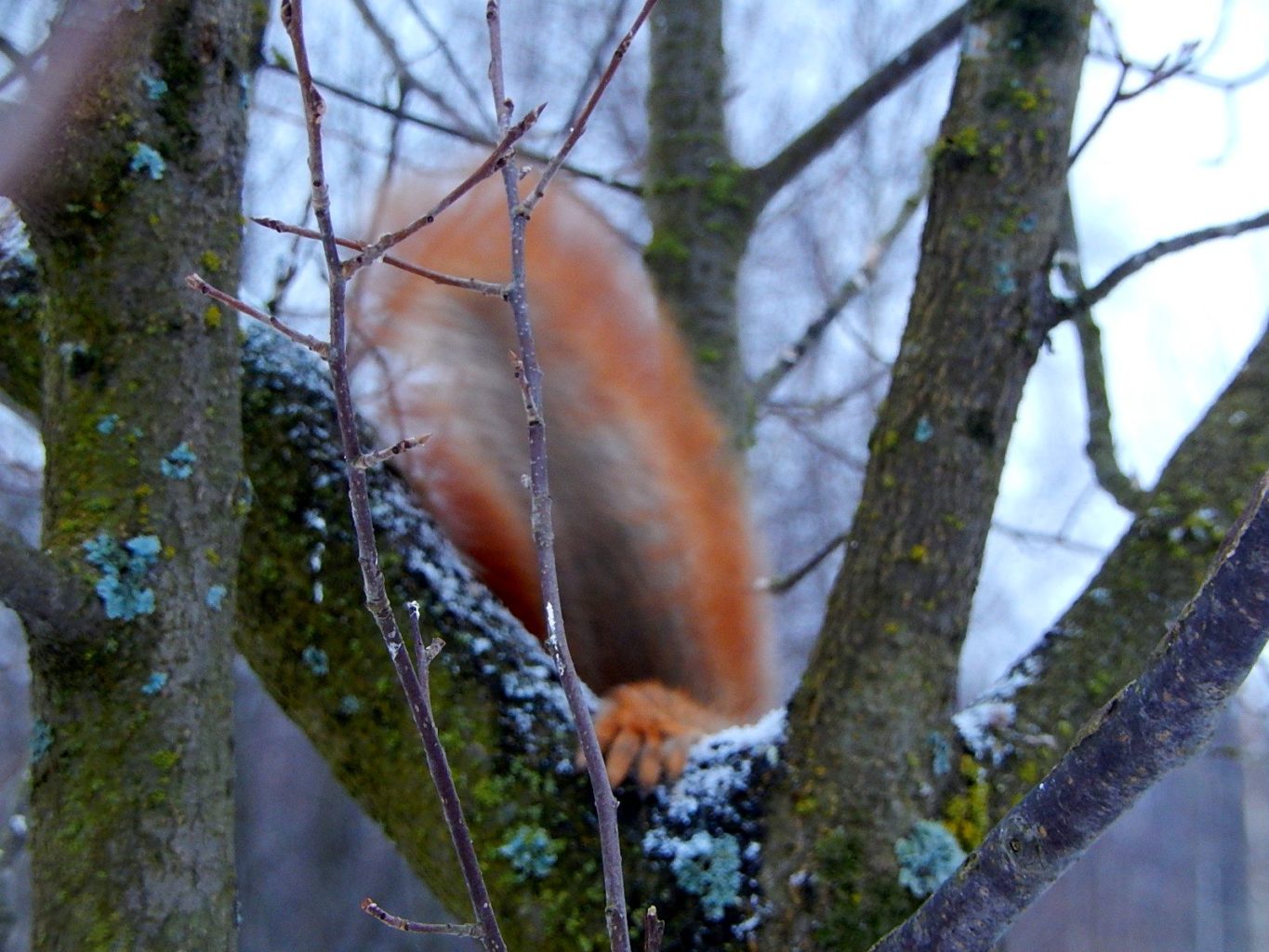 Valokuvaaja: Pirkko Siukonen