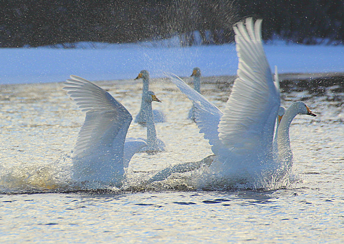 Valokuvaaja: Sirpa jyske