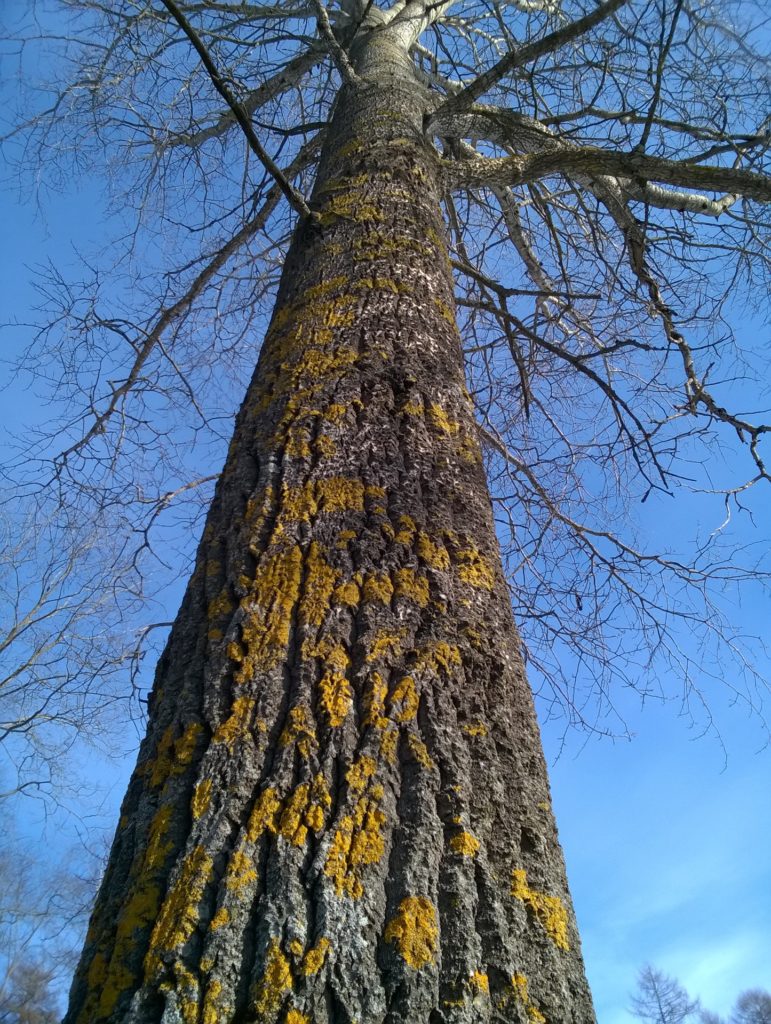 Valokuvaaja: PIRJO RÄISÄNEN