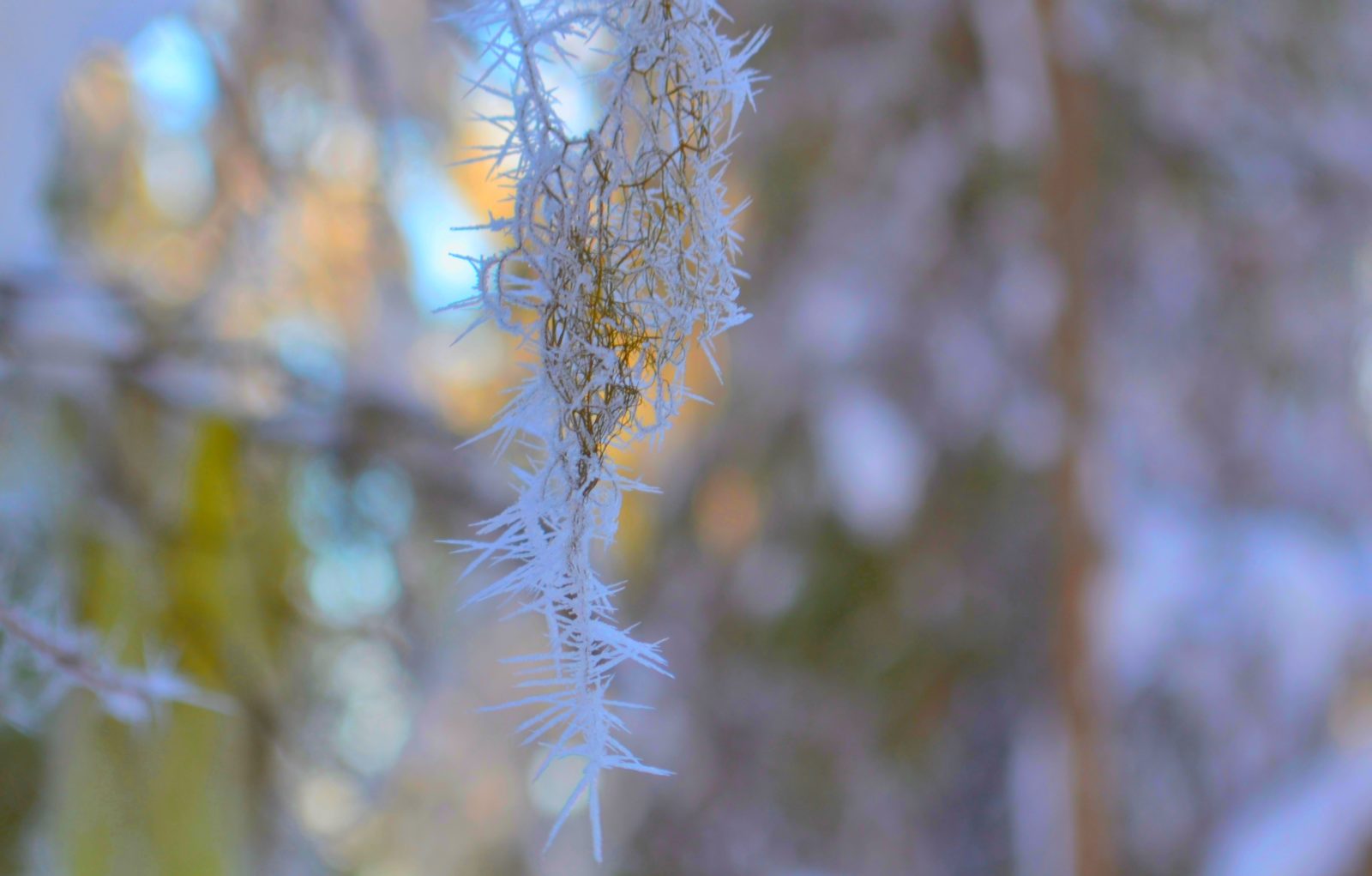 Valokuvaaja: Leena Rissanen