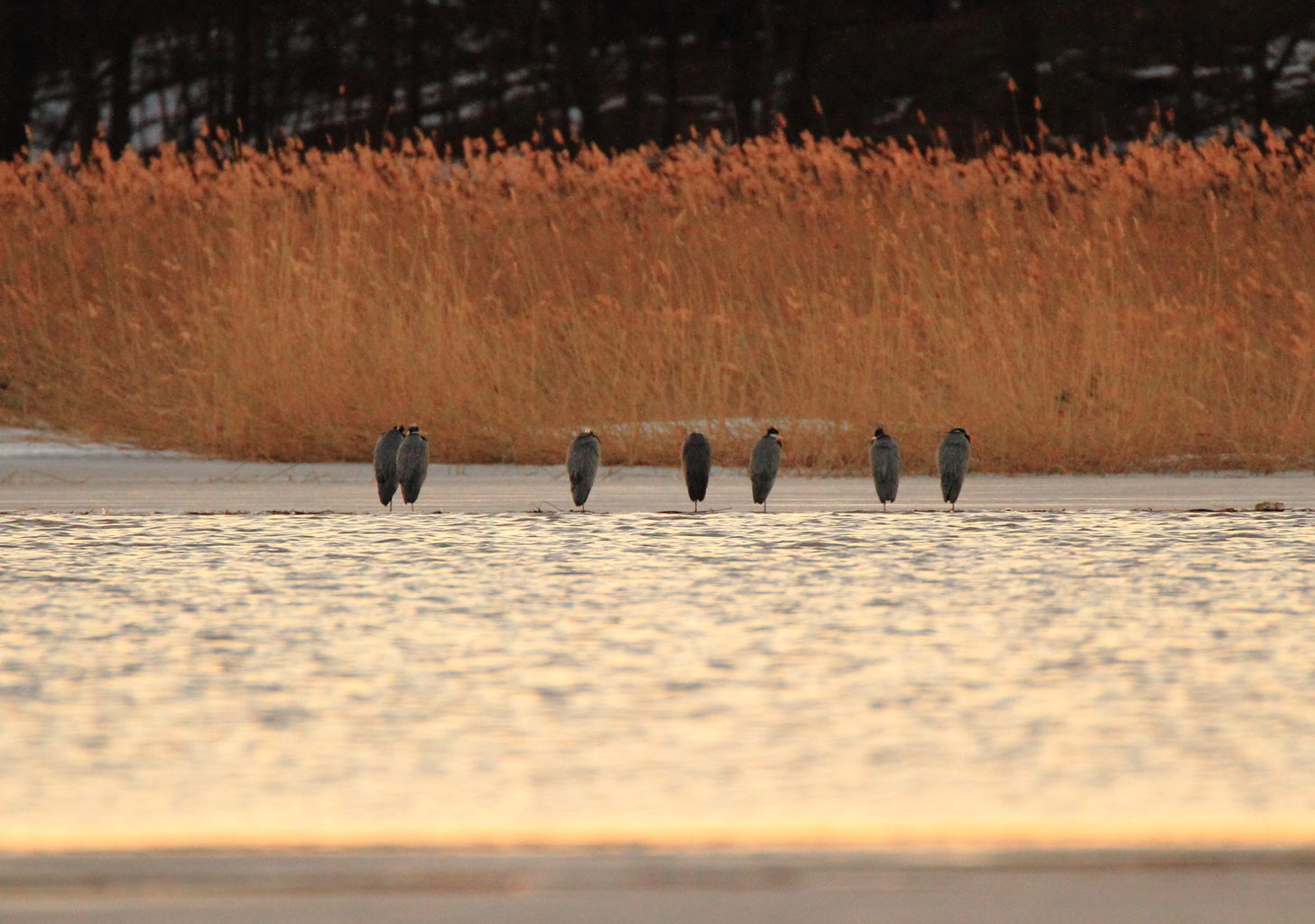 Valokuvaaja: Ilkka Rönkä