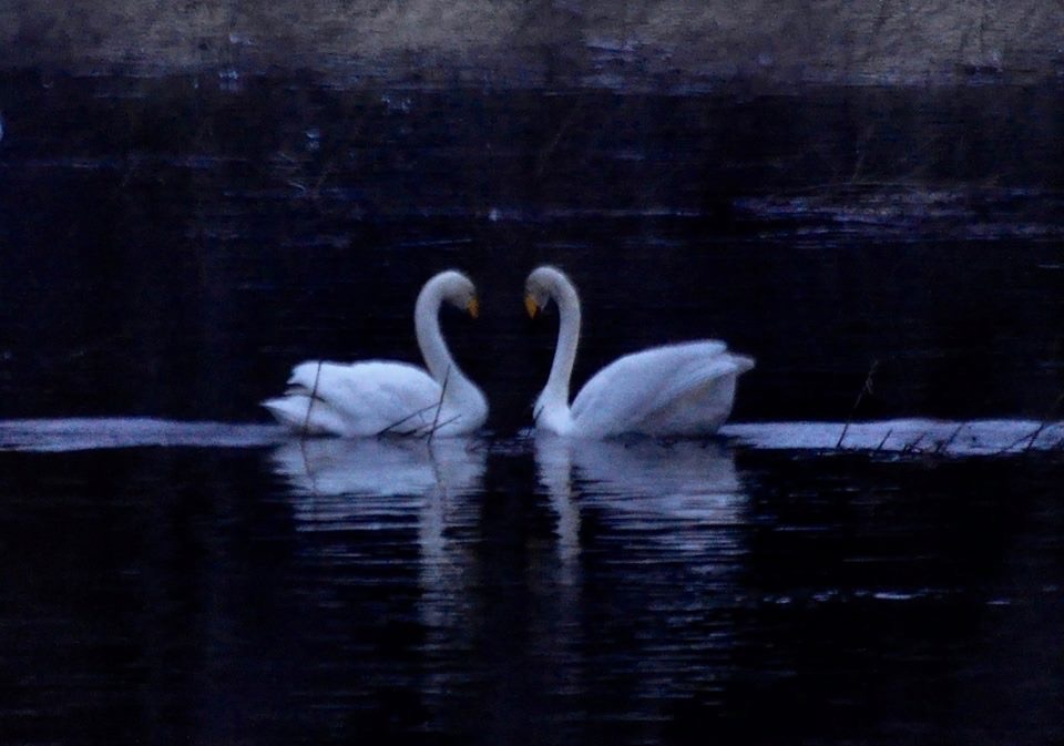 Valokuvaaja: Jenni Merilä