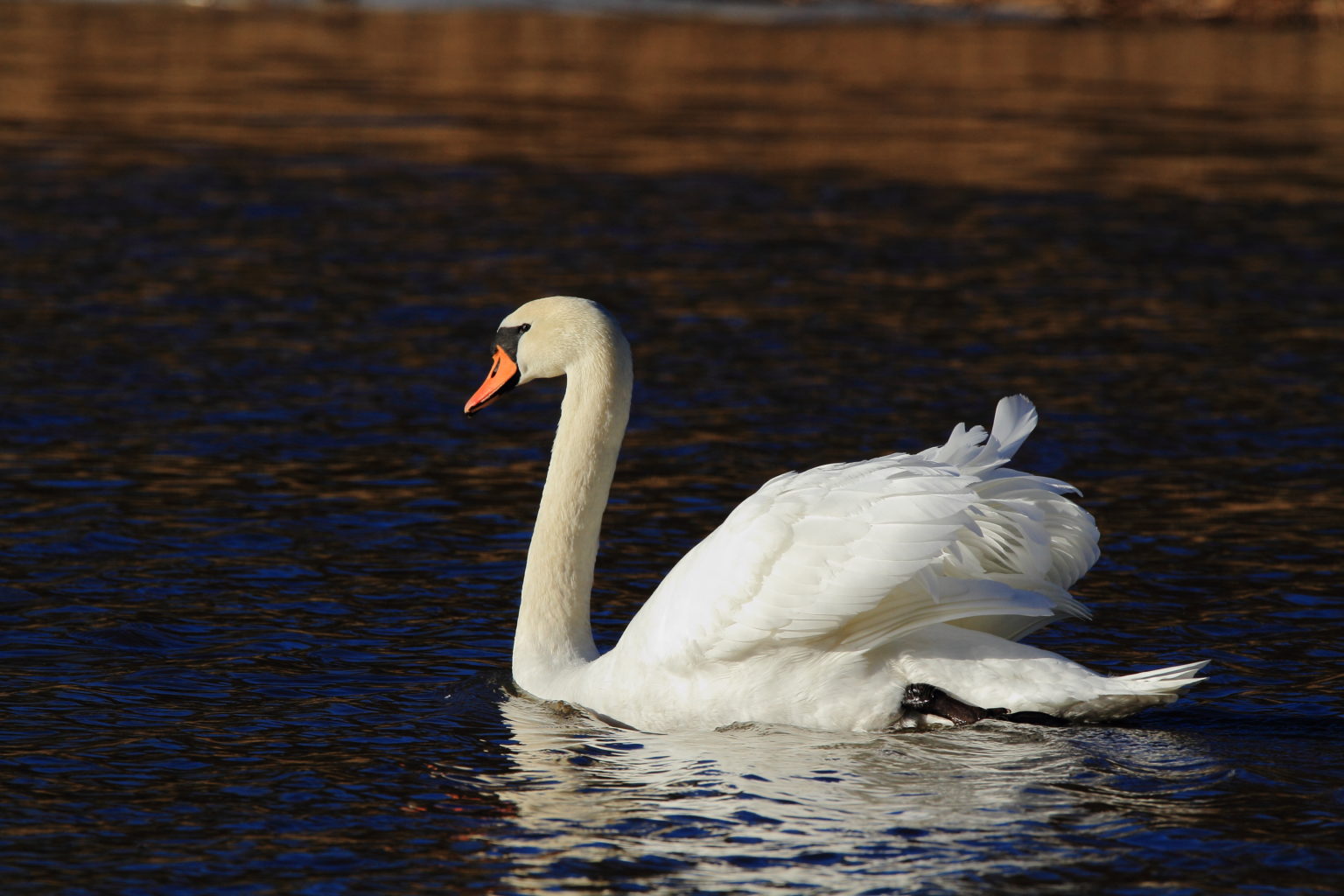 Valokuvaaja: Ilkka Rönkä