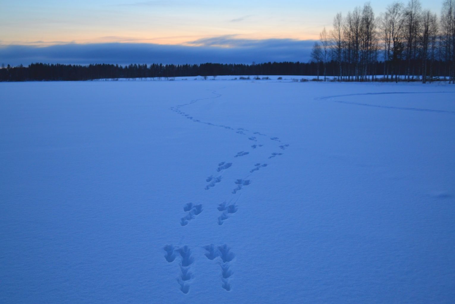 Valokuvaaja: Leena Rissanen