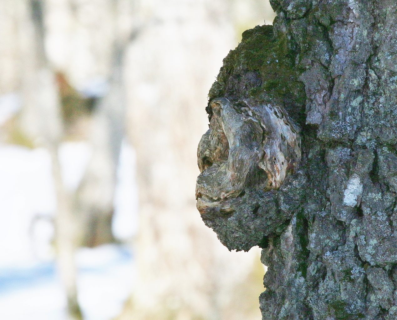 Valokuvaaja: Minna Sarpila