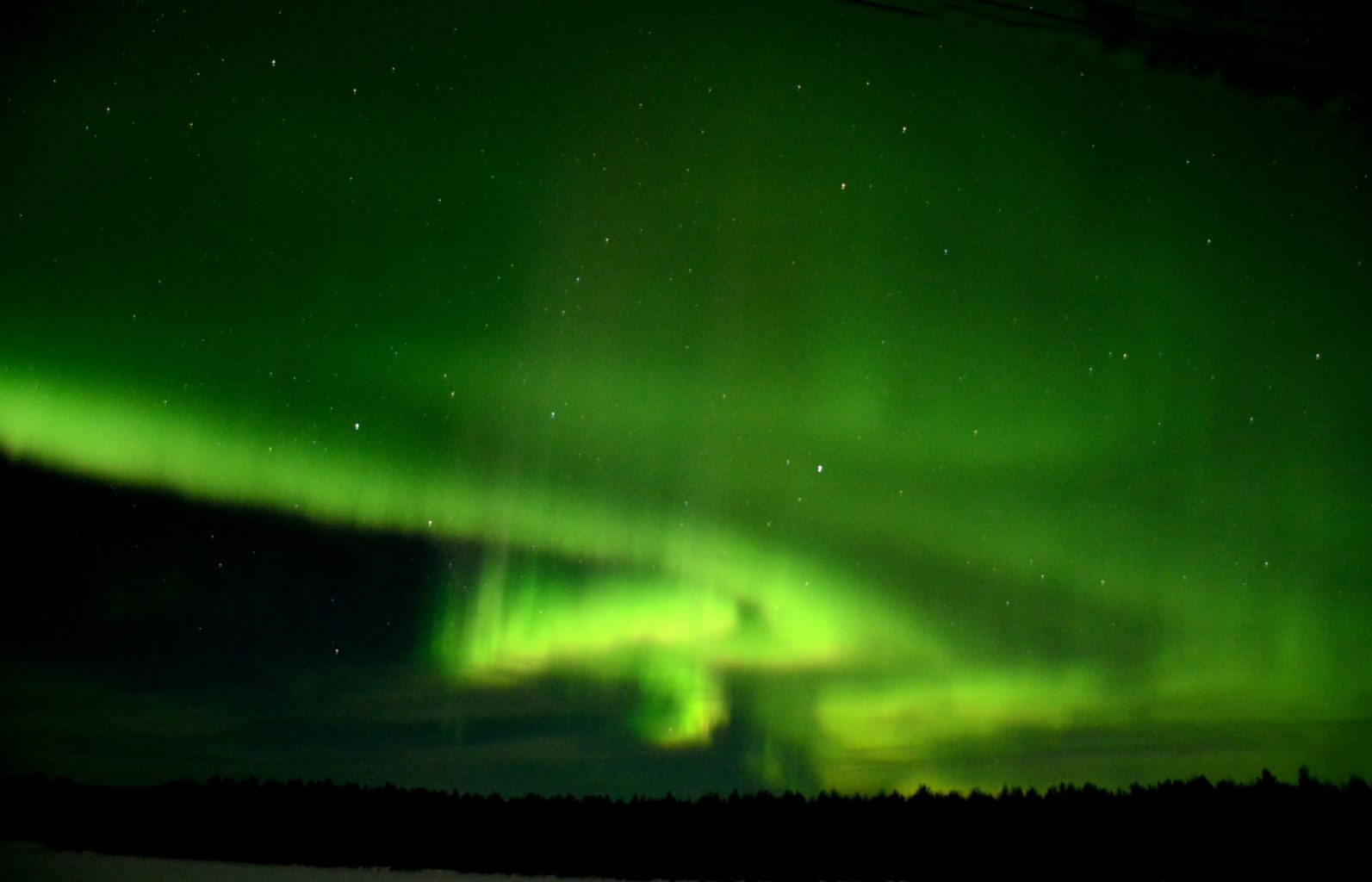 Valokuvaaja: Maija Savolainen Valokuvaaja: Maija Savolainen