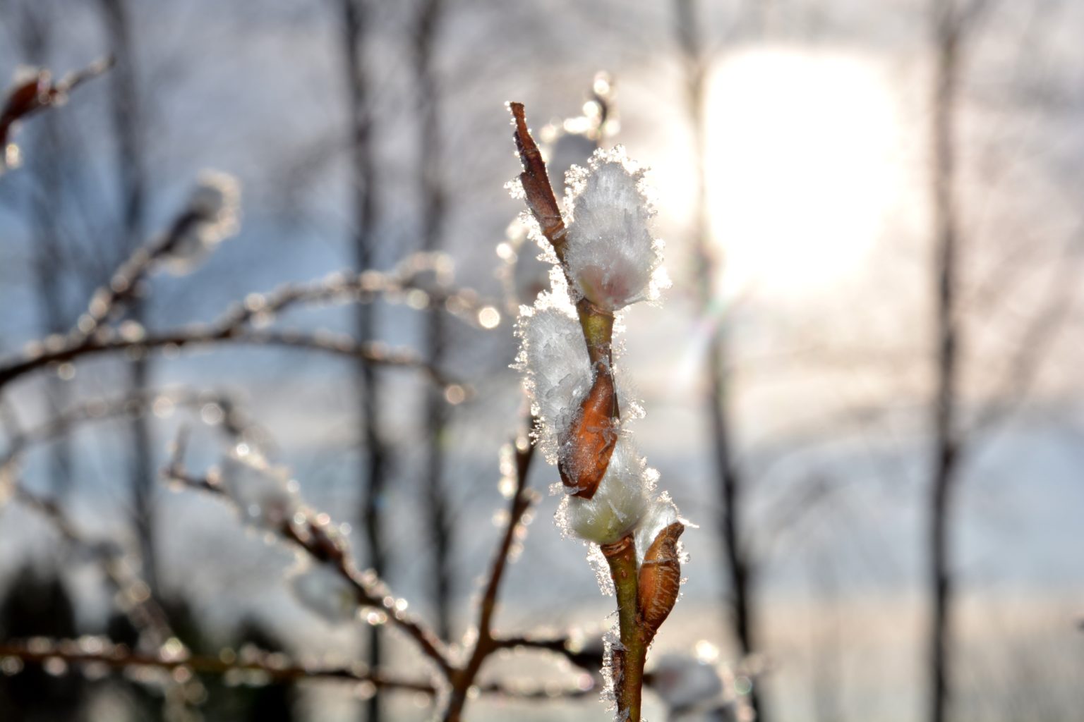 Valokuvaaja: Maija Savolainen