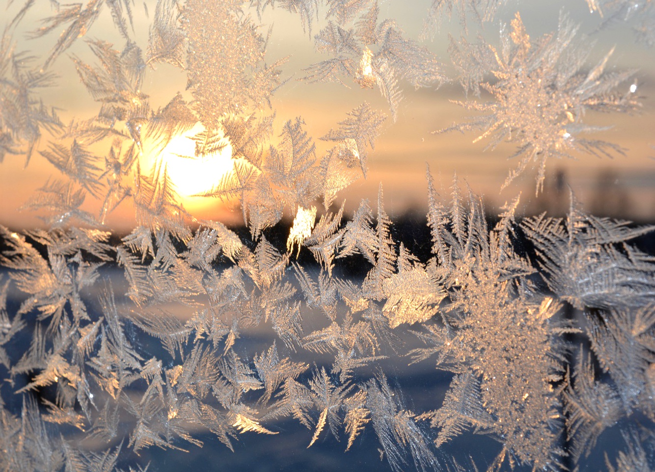 Valokuvaaja: Maija Savolainen