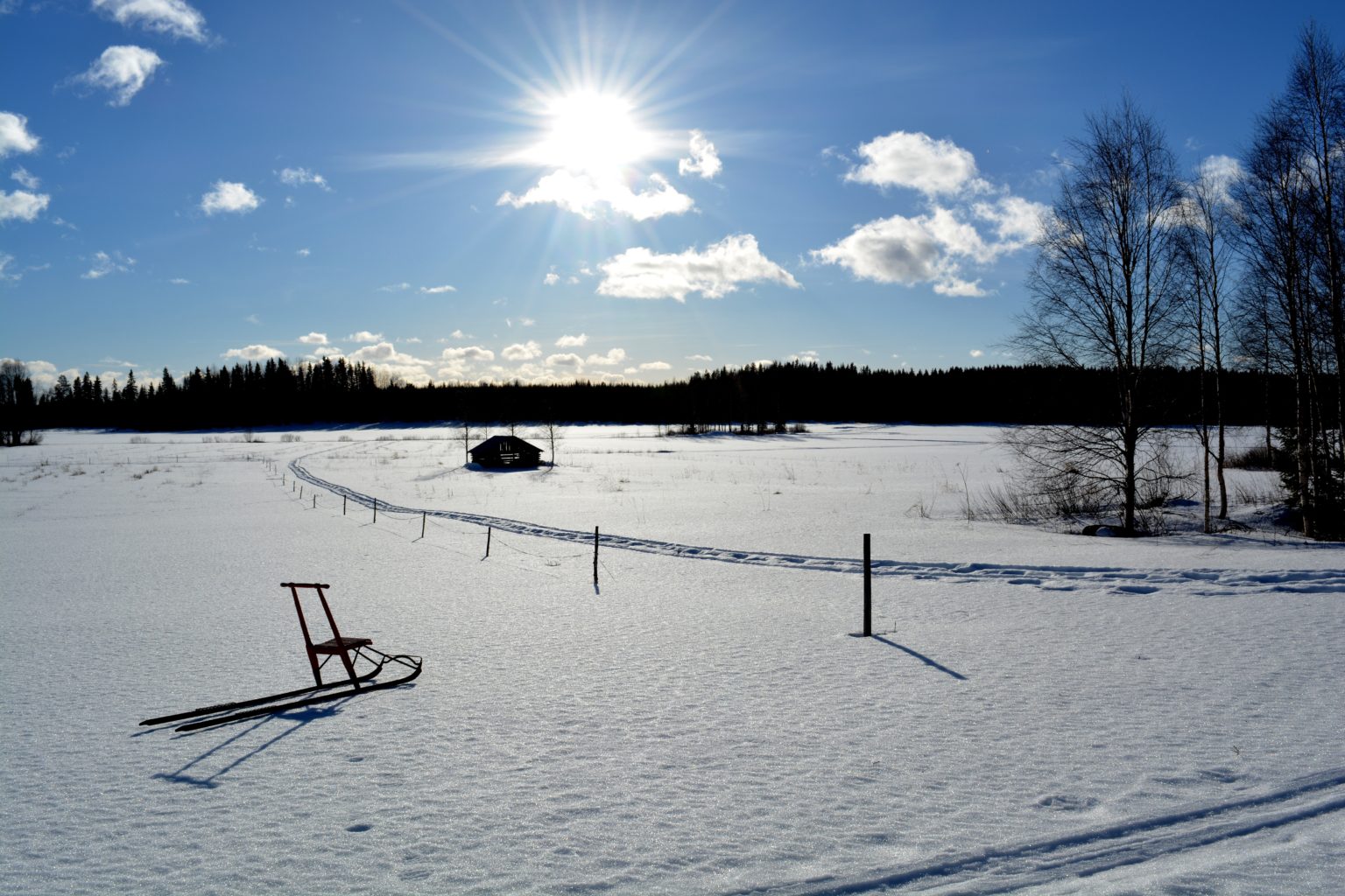 Valokuvaaja: Maija Savolainen