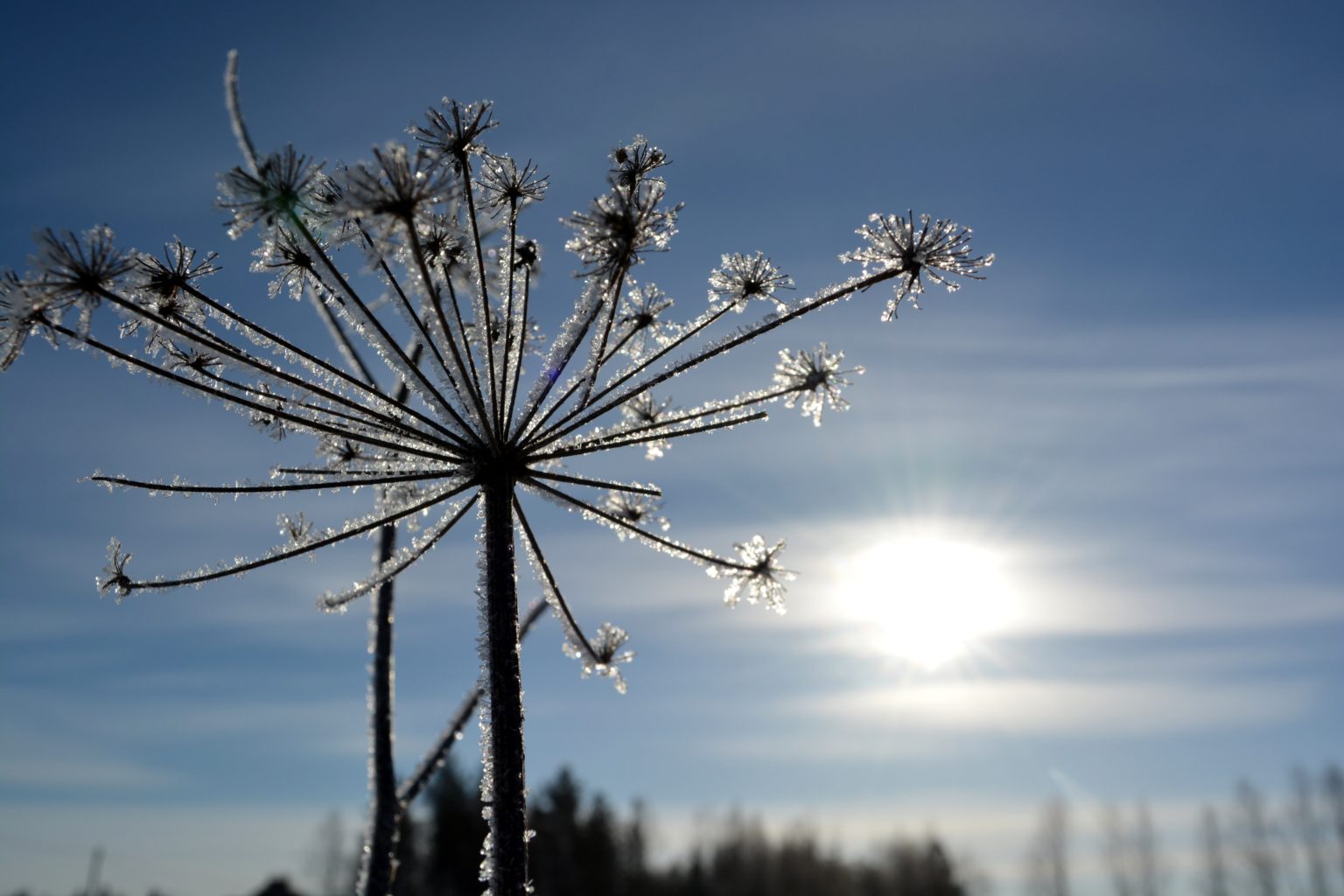 Valokuvaaja: Maija Savolainen