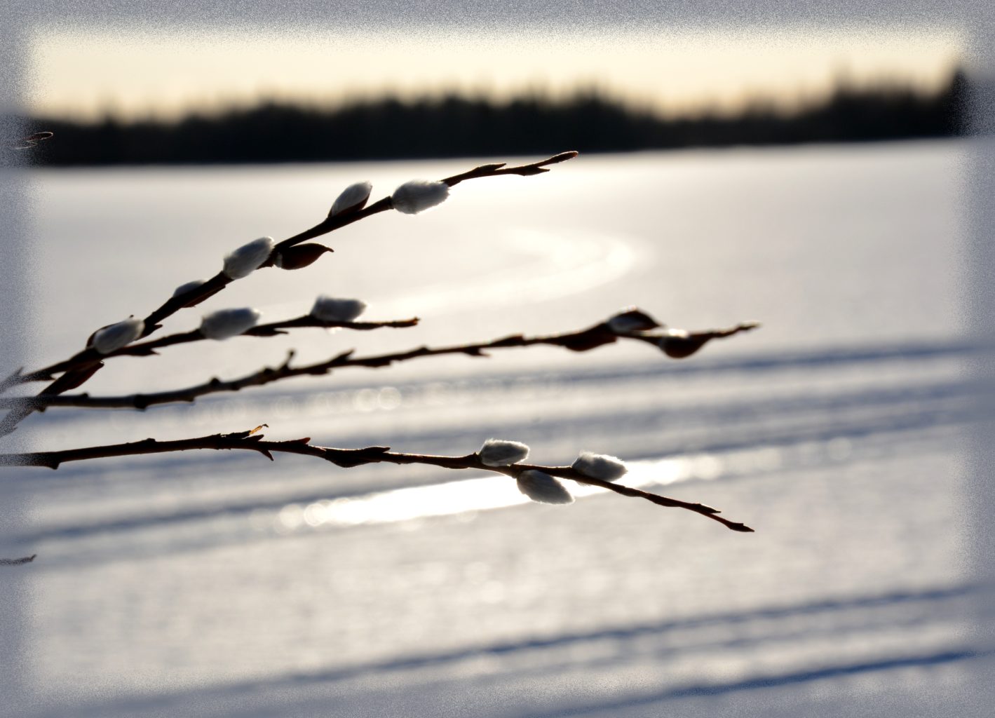 Valokuvaaja: Maija Savolainen