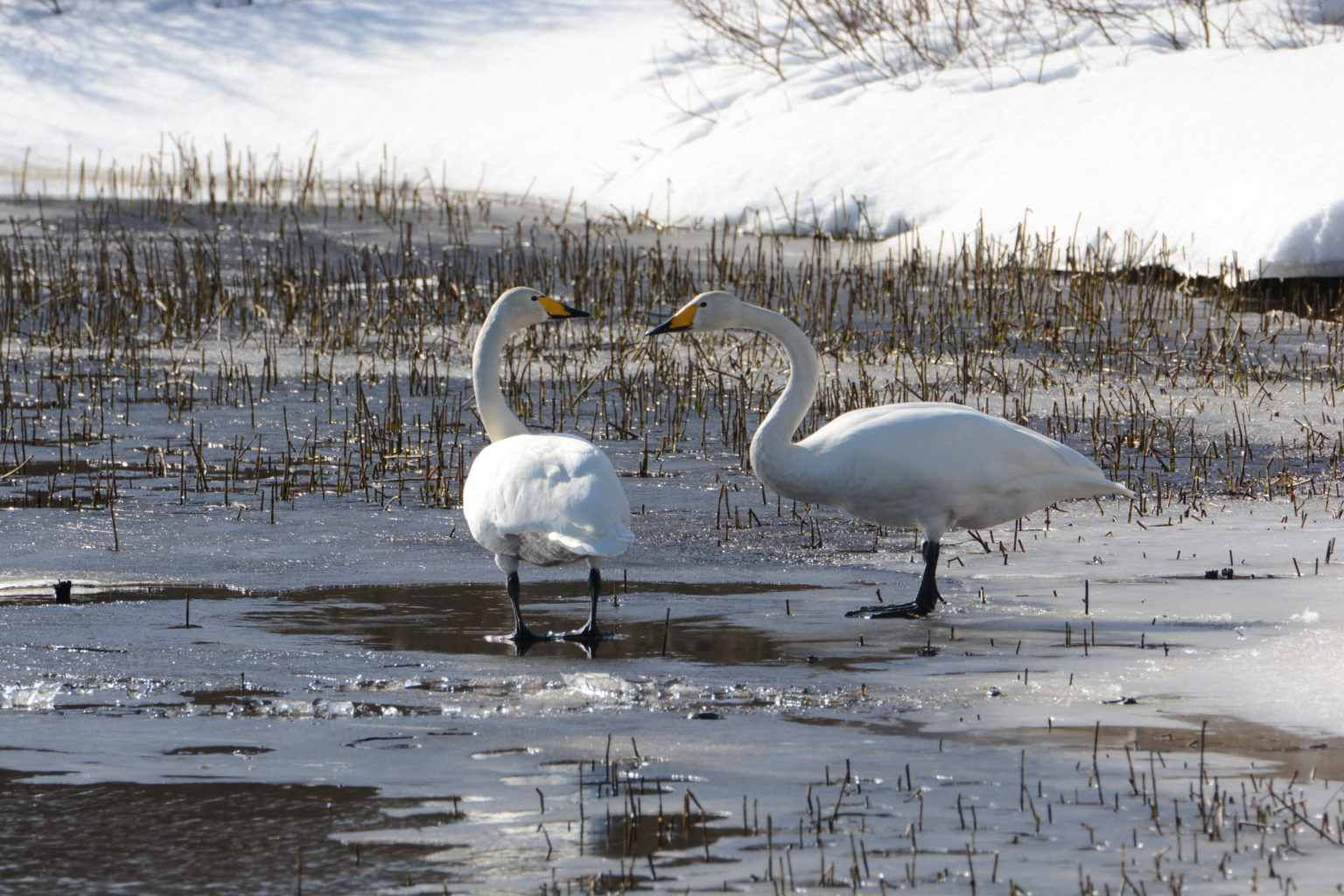 Valokuvaaja: Maija Savolainen