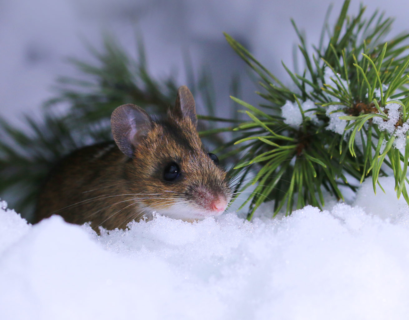 Valokuvaaja: Tarja Porkkala