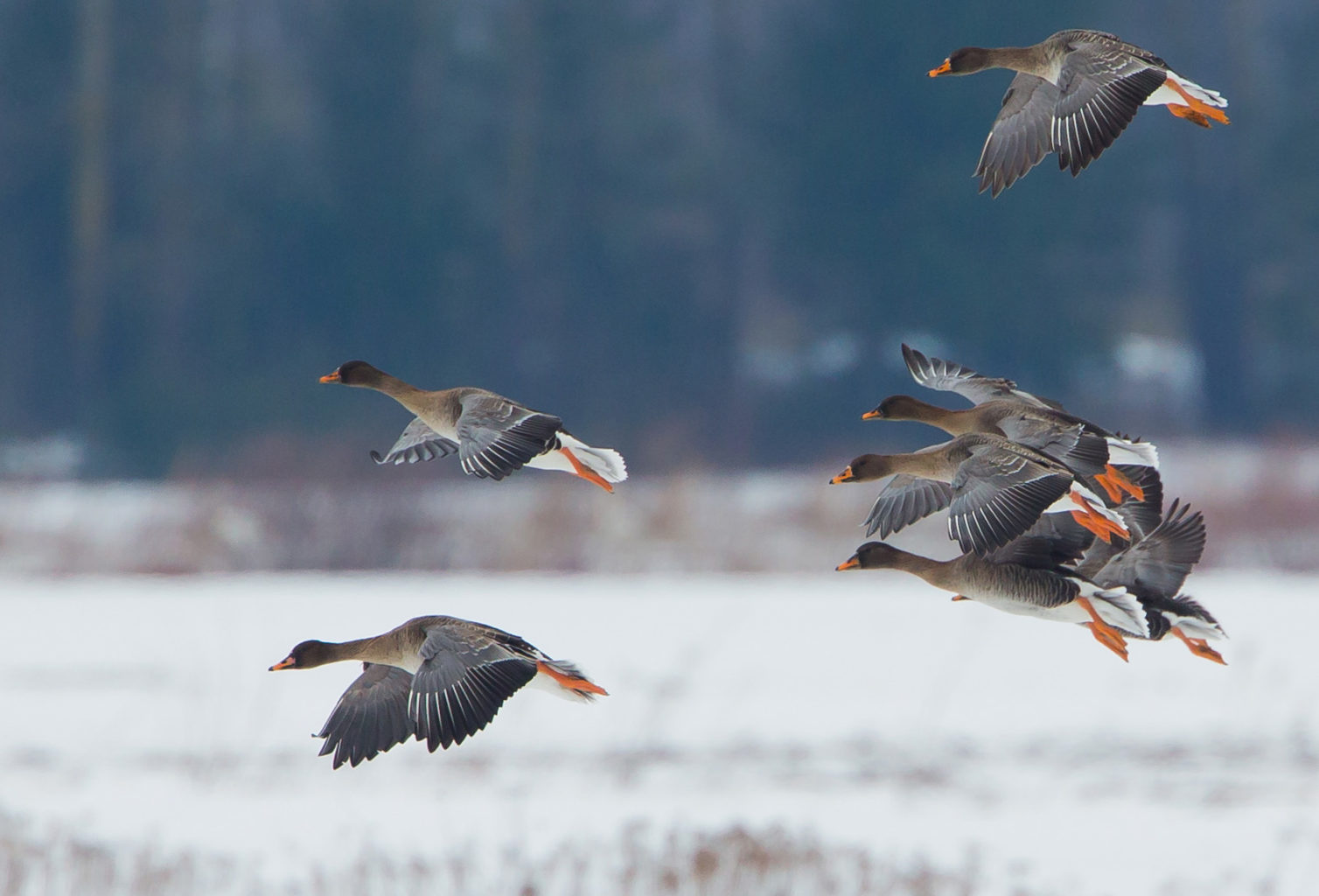 Valokuvaaja: Heikki Mahlamäki