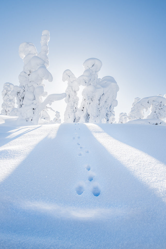 Valokuvaaja: Oscar Keserci