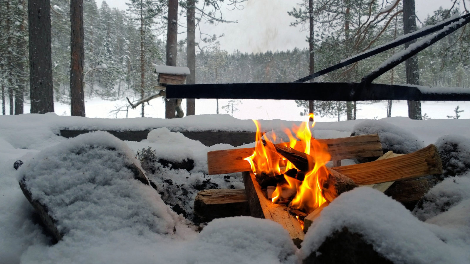 Valokuvaaja: Ahti  Keränen