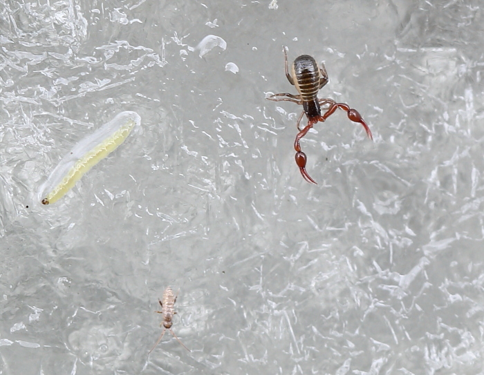 Valokuvaaja: Hanna Järvinen