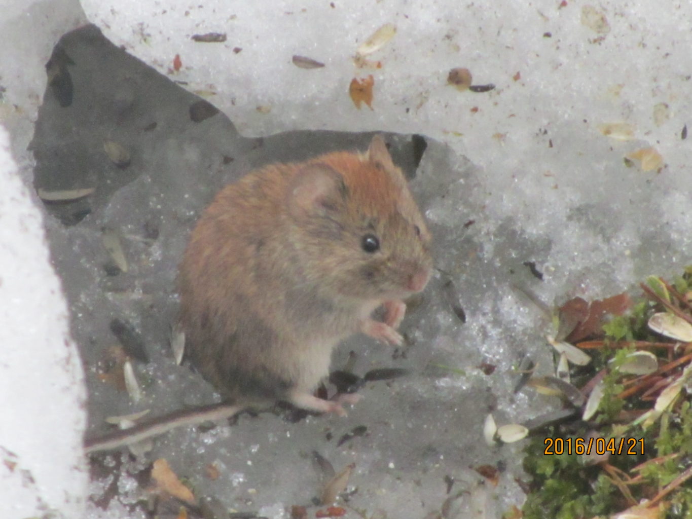 Valokuvaaja: yrjo lukkari