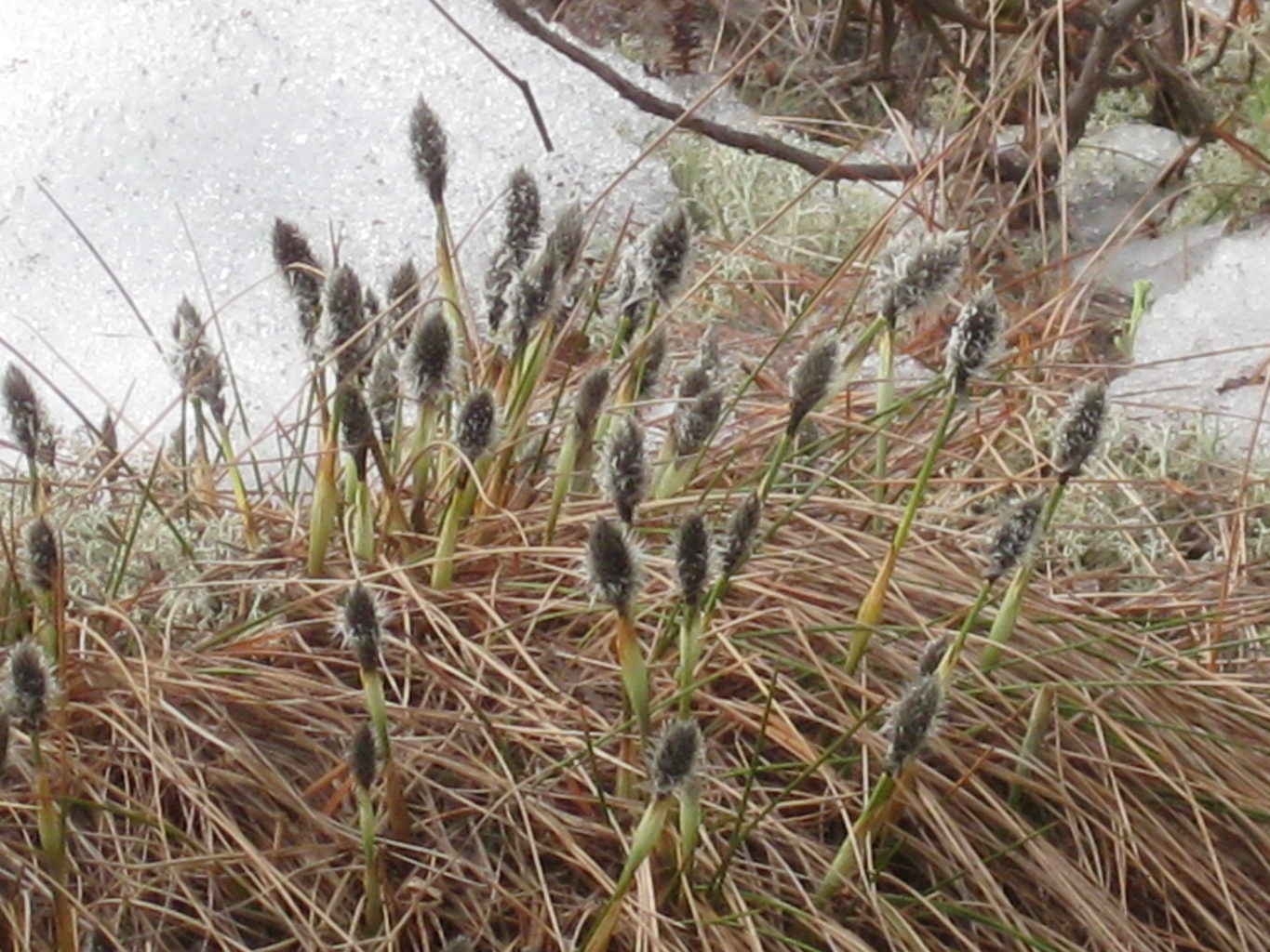 Valokuvaaja: yrjo lukkari