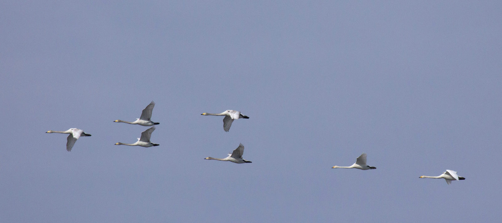 Valokuvaaja: Katri Mäkinen Valokuvaaja: Katri Mäkinen