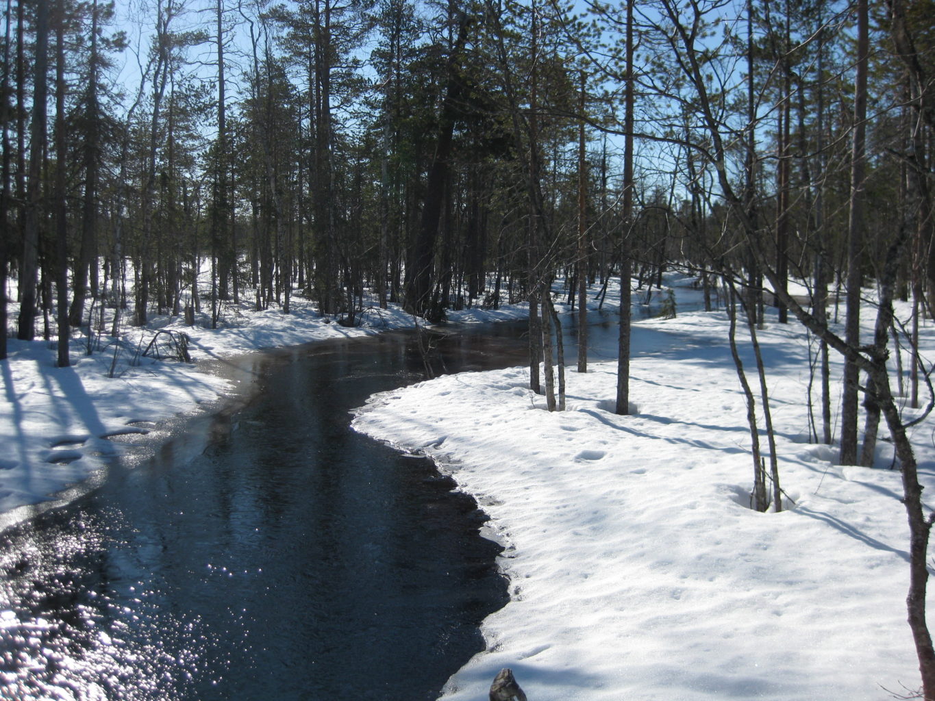 Valokuvaaja: yrjo lukkari