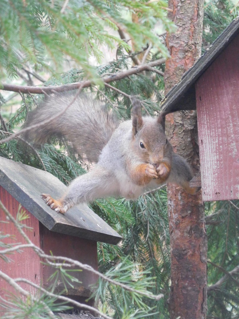 Valokuvaaja: Merja Luokkanen