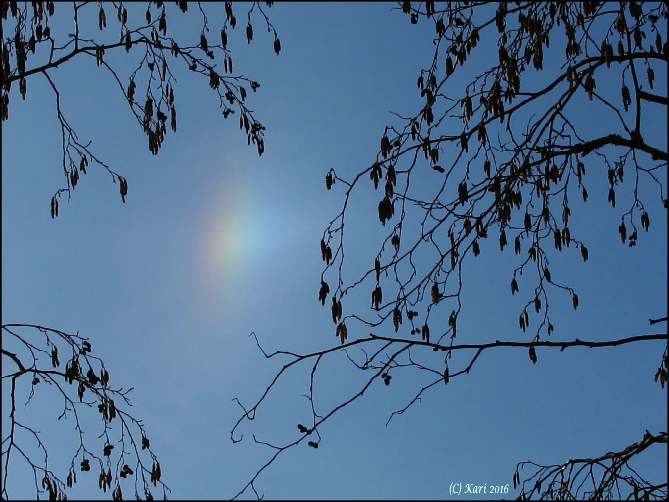 Valokuvaaja: Kari Saarinen